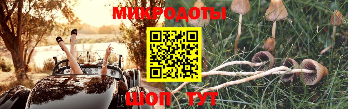 Псилоцибиновые грибы прущие грибы  Вход с VPN  Гусиноозёрск 