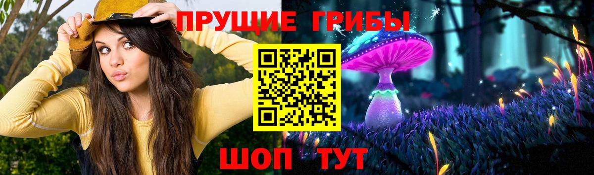 Галлюциногенные грибы MAGIC MUSHROOMS Гусиноозёрск