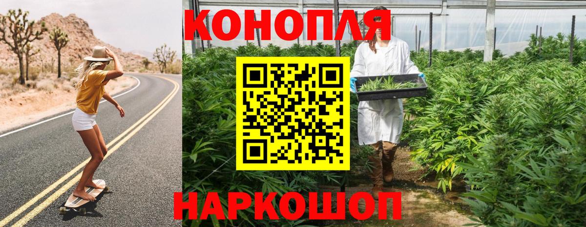 Канабис OG Kush  Каннабис ГИДРОПОН  Вход с VPN  МАРИХУАНА сатива  Гусиноозёрск 